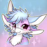 Raven_pup